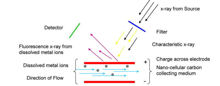 Diagram of how REX works